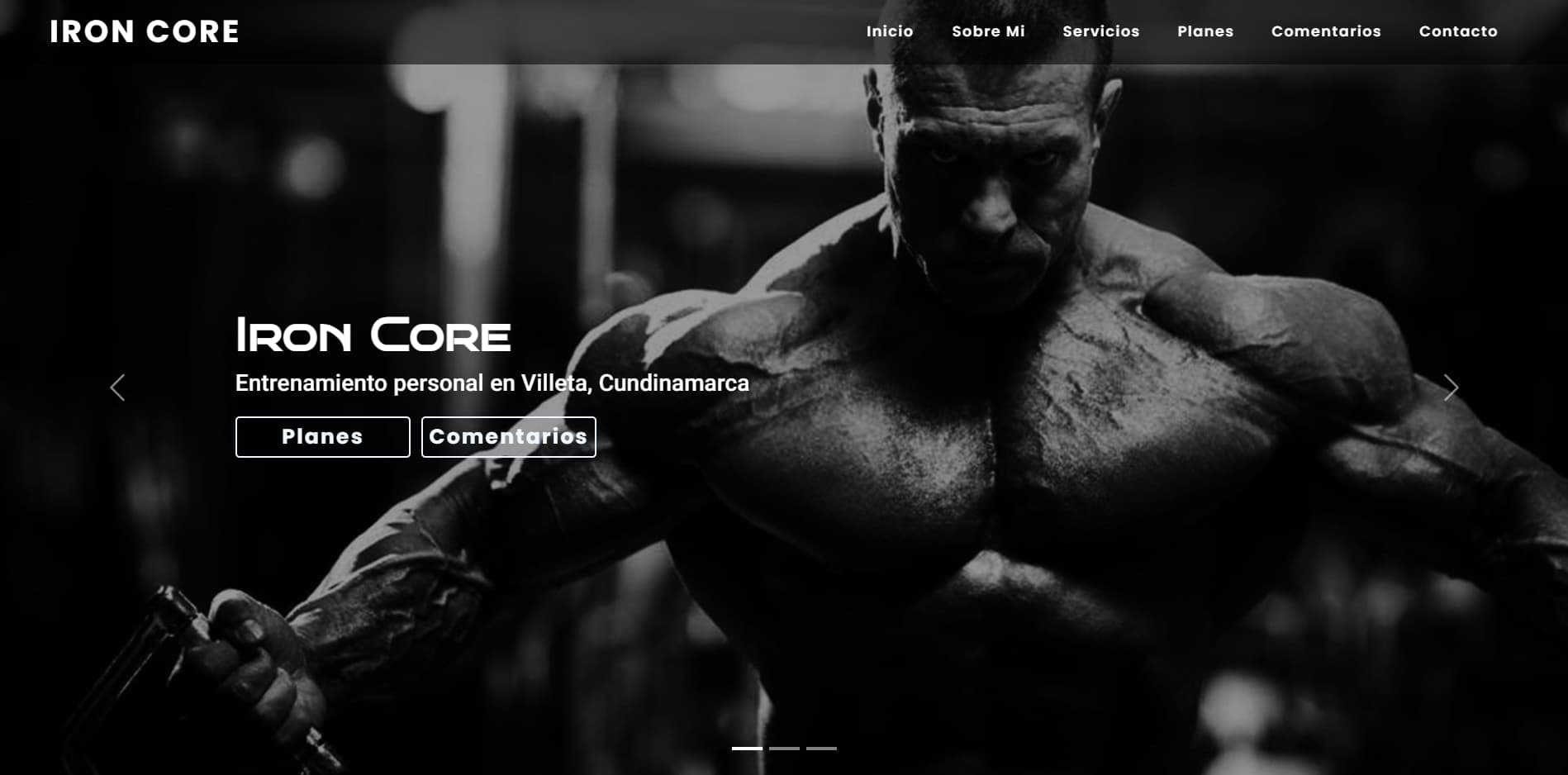 img-iron-core